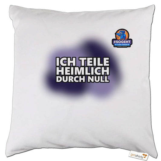 Kissen - Ich teile heimlich durch Null (bunt)