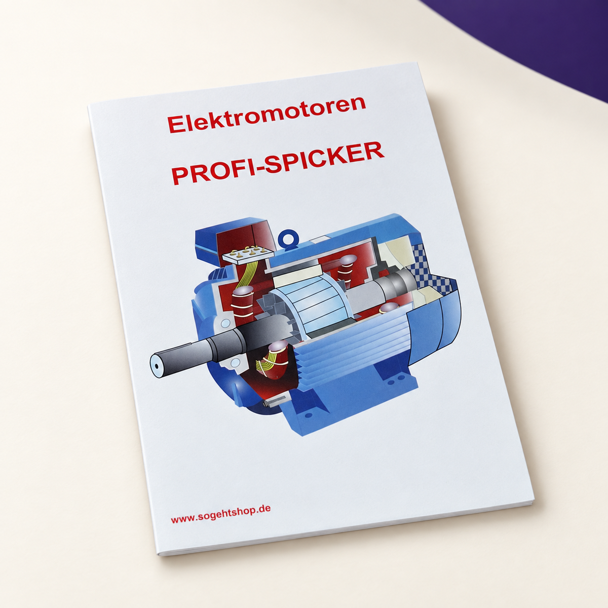 Bundle | Gesellenprüfung Teil 2 – Komplettpaket für Elektroniker/-innen